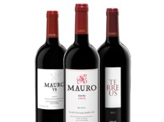 Botellas de vino Mauro