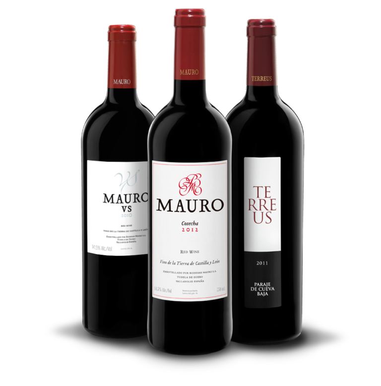 Hispagenda vista las bodegas Mauro