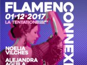 Flamenconnexion