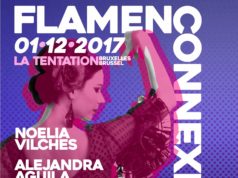 Flamenconnexion